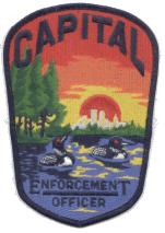 PatchHead Patches